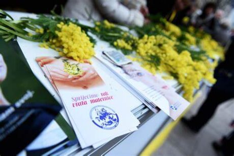 19. Dan mimoza – nacionalni dan prevencije raka vrata maternice